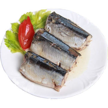 155g Canned Mackerel in Brine